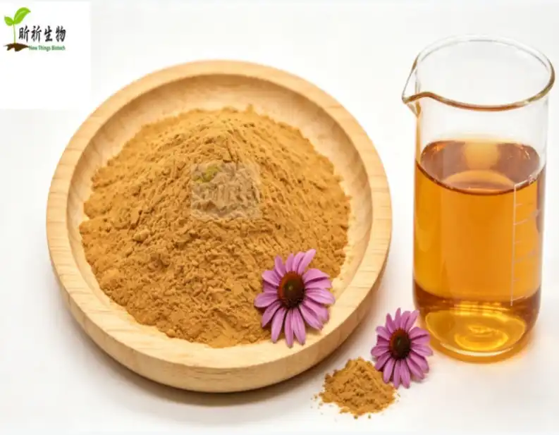 Echinacea Flower Extract Polyphenols